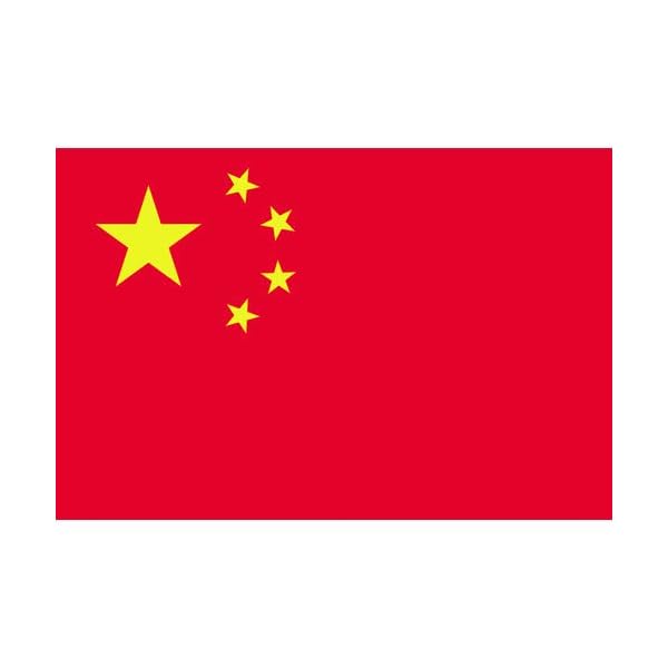 少尉Ｎｏ．１（７０×１０５ｃｍ） 中華人民共和国 416425 その他-知育玩具・学習玩具