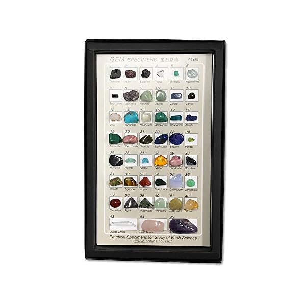 ジェムストーンの標本 東京サイエンス 鉱物標本(ジェムストーン25種) 3-655-03 1セット（直送