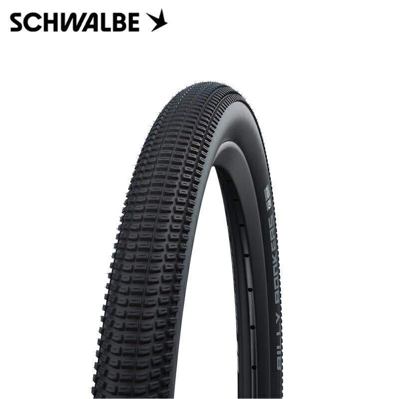 schwalbe-11654030.jpg