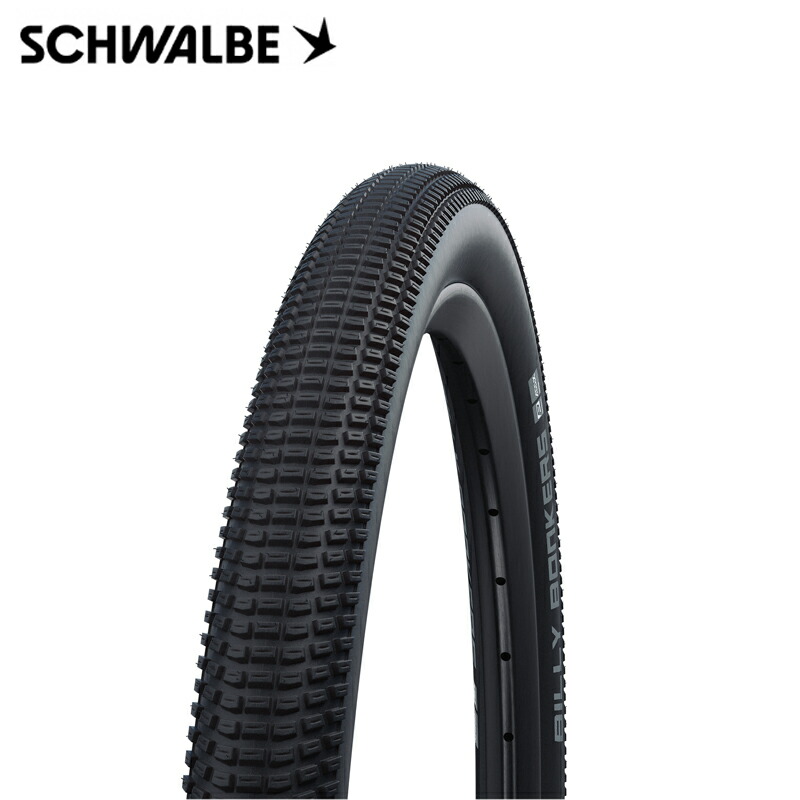 schwalbe-11654386.jpg