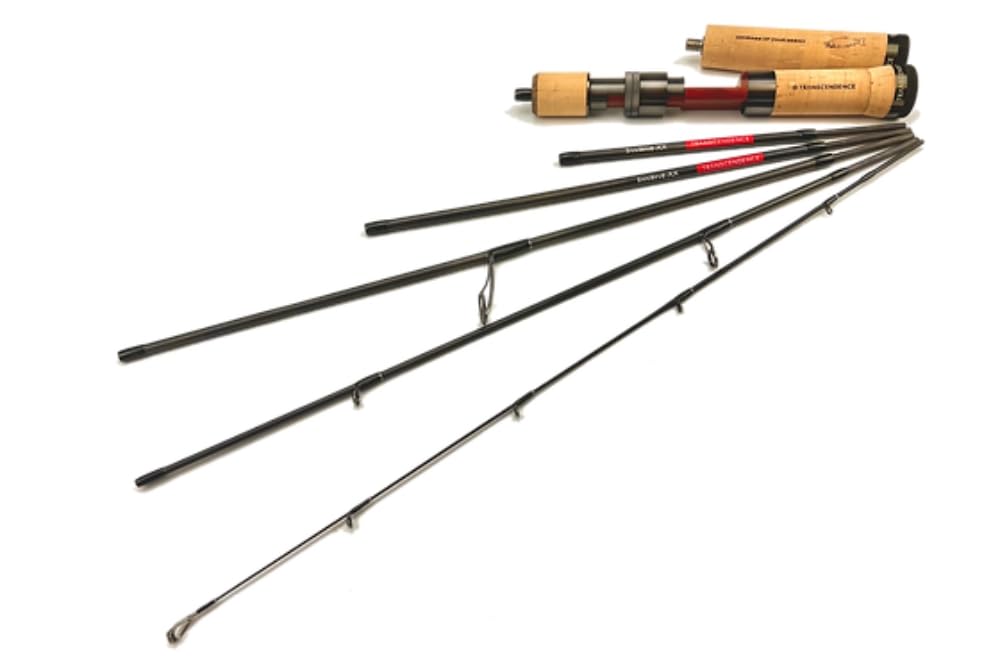 楽天市場】トランスセンデンス カレンテス 82S TRANSCENDENCE