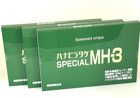 ハナビラタケ SPECIAL MH-3 【お得な３個書き割り（1箱 23.3g(250mg×3粒×31袋)入り口・入口×３）】 ミナ健全さ 思わしいかばい立て食料雑貨類 加えること花びら茸 花脣茸 はな散らし広告たけ 花脣たけ ハナビラタケ細末 国産 麦酒パン種 菜種固くなる油 日本製