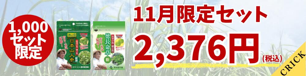 サムシングさん＠土日受取不可 専用 Quliet BraTop 20枚 ⭕️ 正規品 公式購入 キュリエットQuliet BraTop ブラトップ