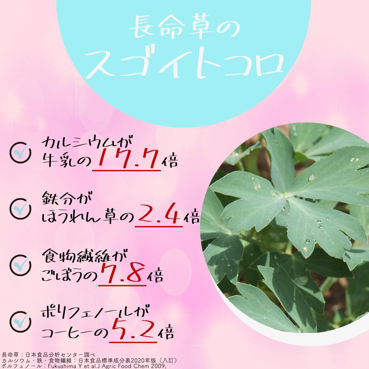 年中無休 長命草青汁 乳酸菌100億個入り 粉末 3g 30包入り 90g ボタンボウフウ 長命草 乳酸菌 植物性乳酸菌 100億個 パウダー むくみ 無農薬 鹿児島県 徳之島産 国産 牡丹防風 ポリフェノール 送料無料 勇田薬草園 敬老の日 健康食品 Qdtek Vn