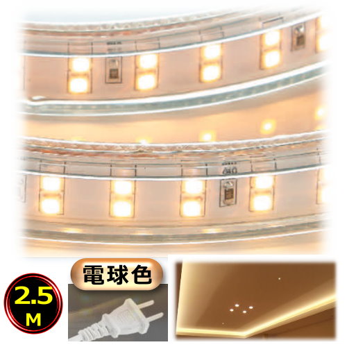 LEDテープライト コンセントプラグ付き AC100V 2.5M 250cm 祝開店大放出セール開催中 高輝度 明るい 間接照明 配線工事不要 品質保証 棚照明 二列式 CY-TPW2HM 電球色 簡単便利