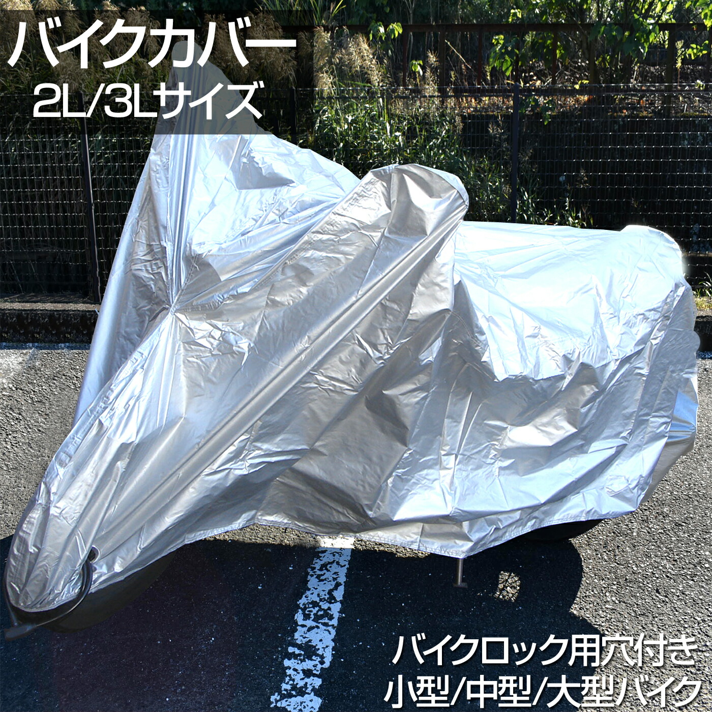 bb_cover_2l3l_1.jpg