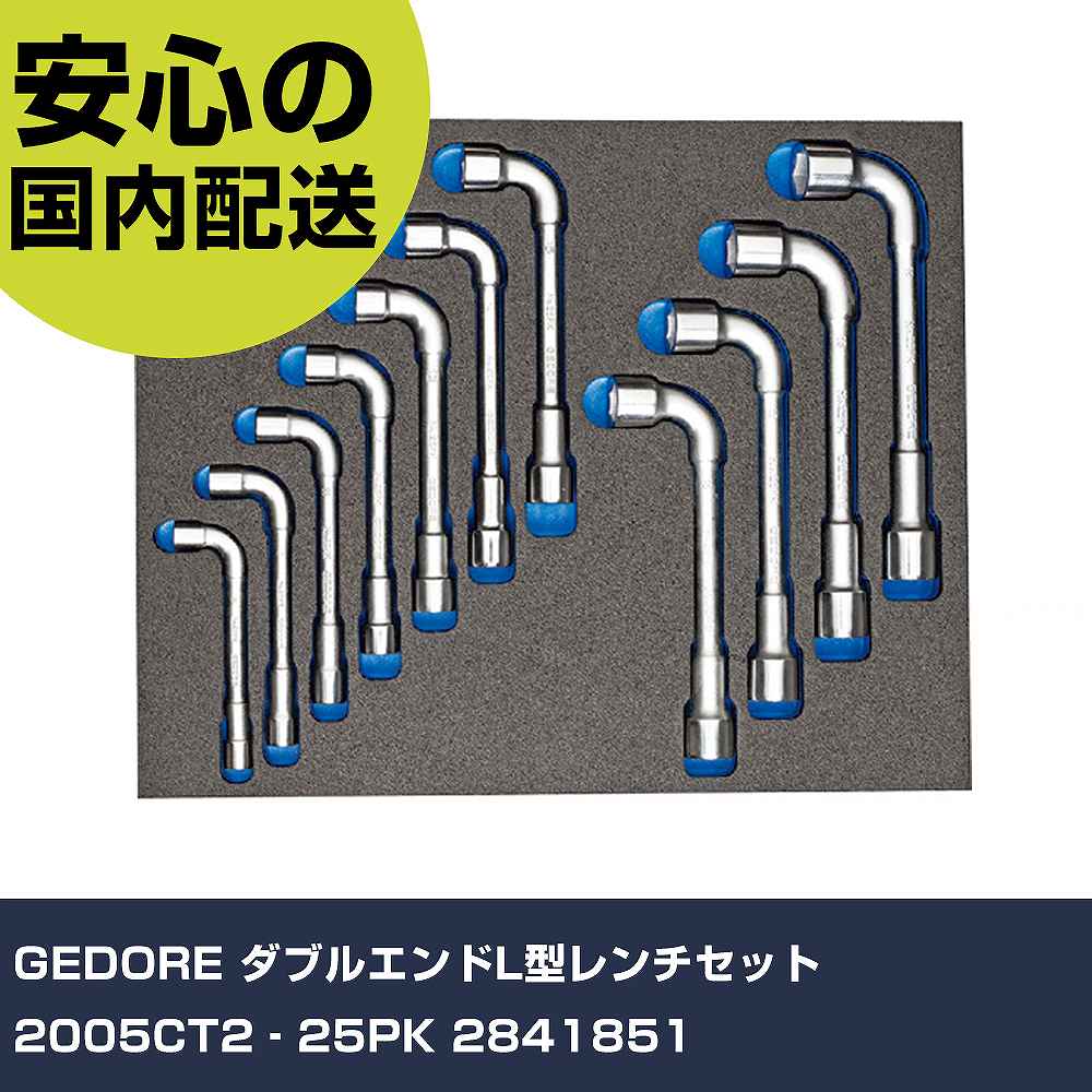 GEDORE ダブル挙げ句のはてL型鍵書き割り 2005CT2‐25PK 2841851 手作業手道具 手道具書き割り 収納家具手あい 御役目用 労働者階級遣りくち 御役目一こま 法人向け 工業プラント