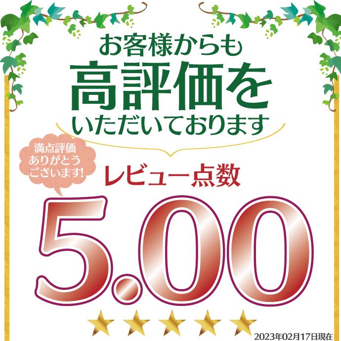 ☆エントリー＆店内3点購入でP10倍(4/4 20:00-4/10 1:59迄)】【送料