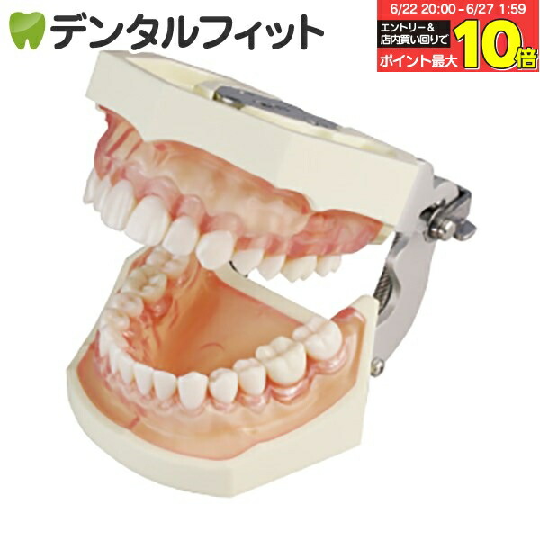 NISSIN D18FE-500E 顎模型 咬合器付き、全て未形成歯