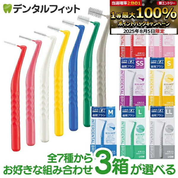大白歯特化型！パーフェクト保険エンド 大白歯特化型！パーフェクト保険エンド 健康・医学