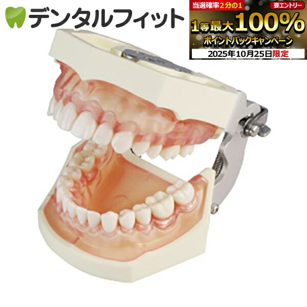 楽天市場】【☆エントリーと店内3点購入でP10倍(10/24 20:00-10