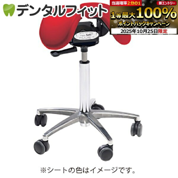 楽天市場】【☆エントリーと店内3点購入でP10倍(10/24 20:00-10