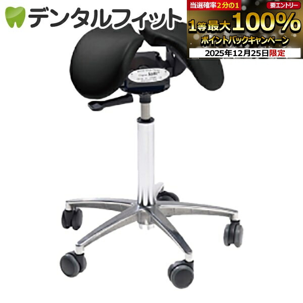 楽天市場】【☆エントリーと店内3点購入でP10倍(12/19 20:00-12/26 1