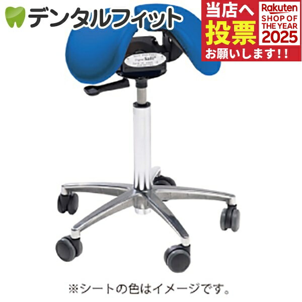 SALLI サリー 姿勢矯正チェア 椅子 ミドルタイプ 乗馬 バランスチェア 楽天市場】Salliチェアー[Salli Sway] ミドルタイプ (ブルー) ※開封後