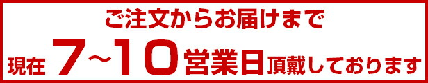 楽天市場】【☆5%OFFクーポン+P5倍 9/19 20:00-23:59】Ci AD歯間ブラシL字タイプ (SSS〜Lサイズ)アソート4本入りパック  : 歯科医院専売品のデンタルフィット