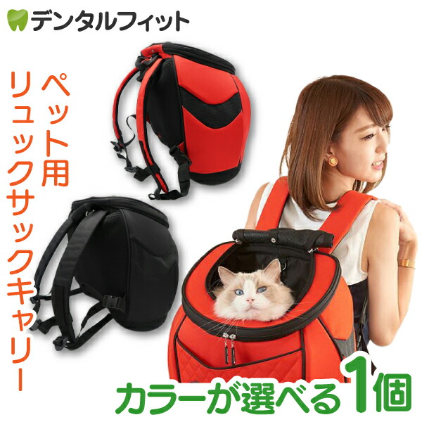 楽天市場】CoConte cat リュックサックキャリー ネイビー : ペットの