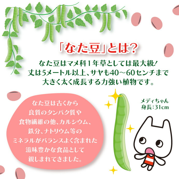 楽天市場 最大400円offクーポン ポイント5倍 5 23 00 5 27 01 59 なた豆 歯磨き粉 薩摩なた豆 歯磨き 1本 125g ヨシトメ産業 歯科医院専売品のデンタルフィット