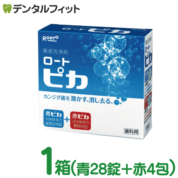 特典付きバルクリーン入れ歯洗浄剤 玄関用・靴箱用