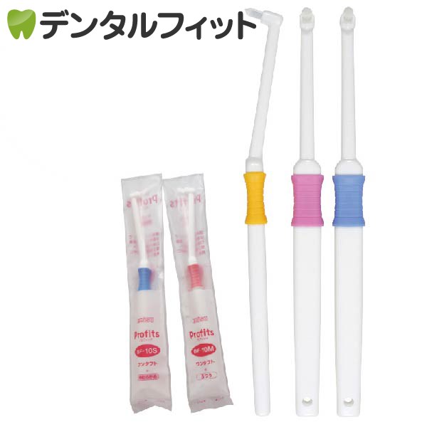 マダラトビエイ　歯　顎　標本　C１ マダラトビエイ 歯 顎 標本 C1