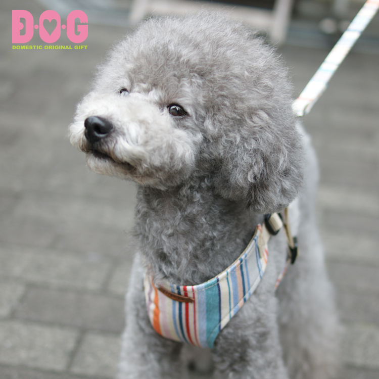 楽天市場 D O G 犬 ハーネス 胴輪 おしゃれ 防水 汚れにくい 雨 水遊び 超小型犬 小型犬 防水マルチストライプハーネス Lサイズ D O G Shop