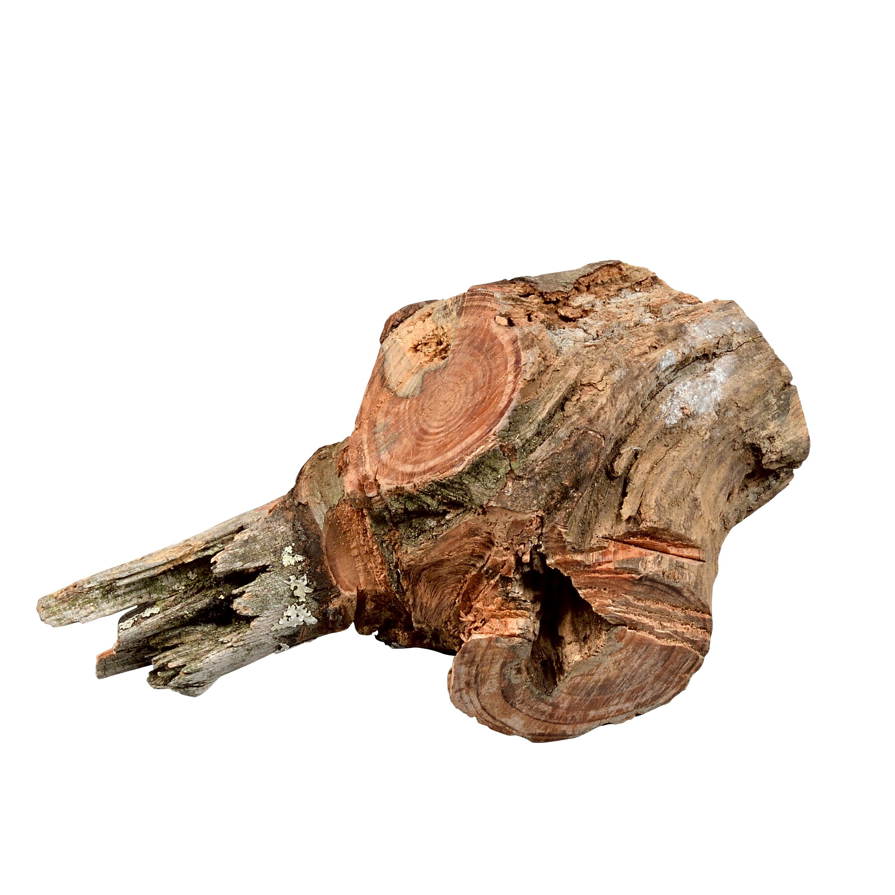 楽天市場】Sand Hill ファットウッド 1.8kg入 : Liberty Base Products