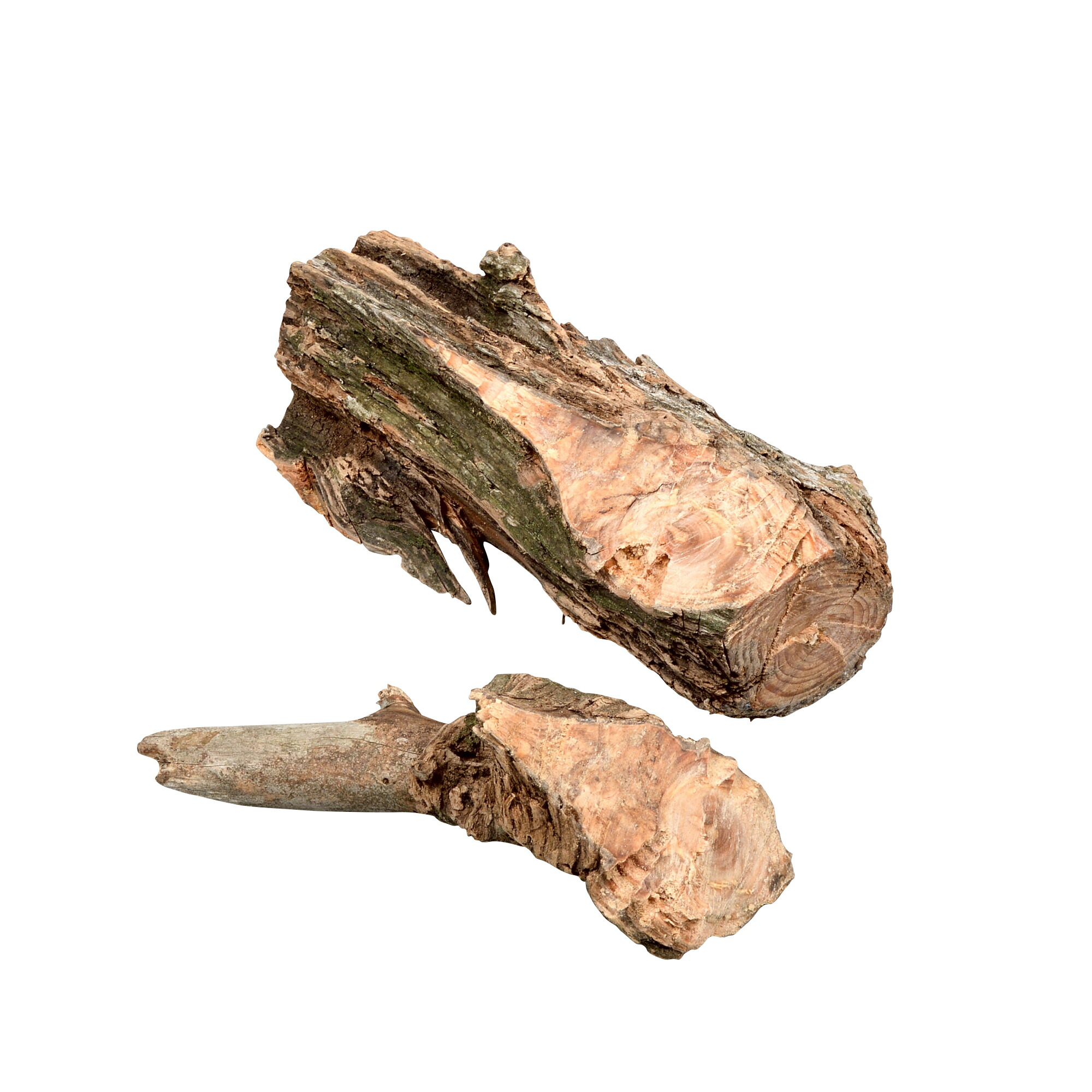 楽天市場】Sand Hill ファットウッド 1.8kg入 : Liberty Base