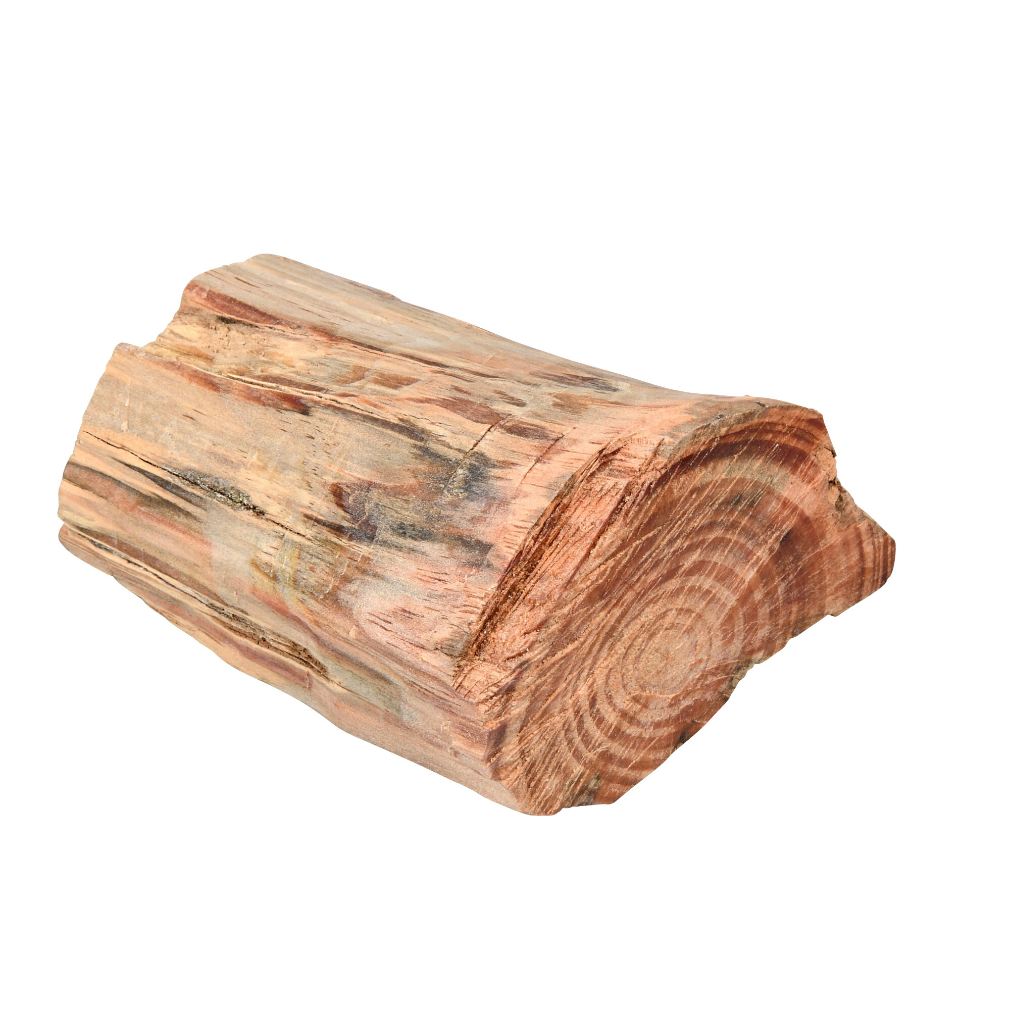 β 限定値下げファットウッド肥松約43cm4本合計約8.0kg 特別限定値下げ β ファットウッド肥松約43cm4本合計約8.0kg