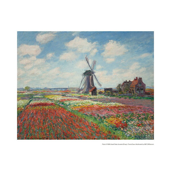 【送料無料】 モネ「オランダのチューリップ畑」 室内装飾品 絵画額 名画複製額|Drink&Dream「D-Park」店