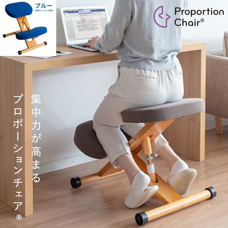 【6/15はエントリーで当店最高限度P5倍！】【製造会社直送】【代引不可】【北海道・沖縄・離島不可】宮武製造所 釣りあい女性議長 青味 背筋改心させる 精神的な統合式 CH-88W-BL