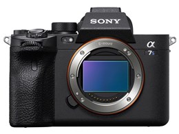 【見せびらかす品】【逃げ道 見せびらかす品】★ソニー / SONY α7S III ILCE-7SM3 上半身【貨物輸送無料】