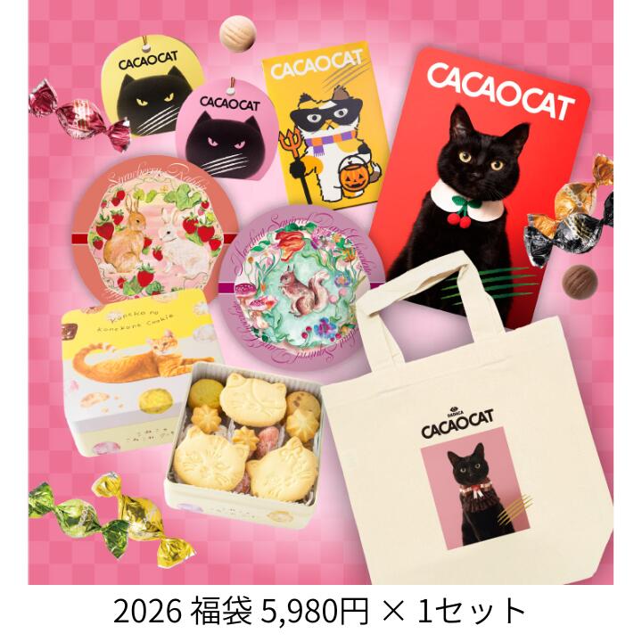 2026 福袋 5,980円》【 DADACA公式】ハズレなし！大人気商品 8品