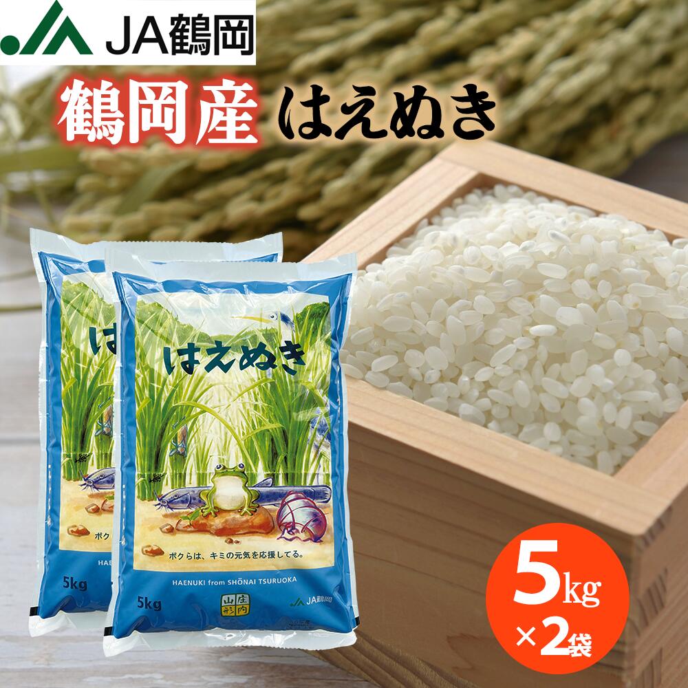 はえぬき お米 20kg 無洗米 (5kg×4袋) 山形県産 令和6年産