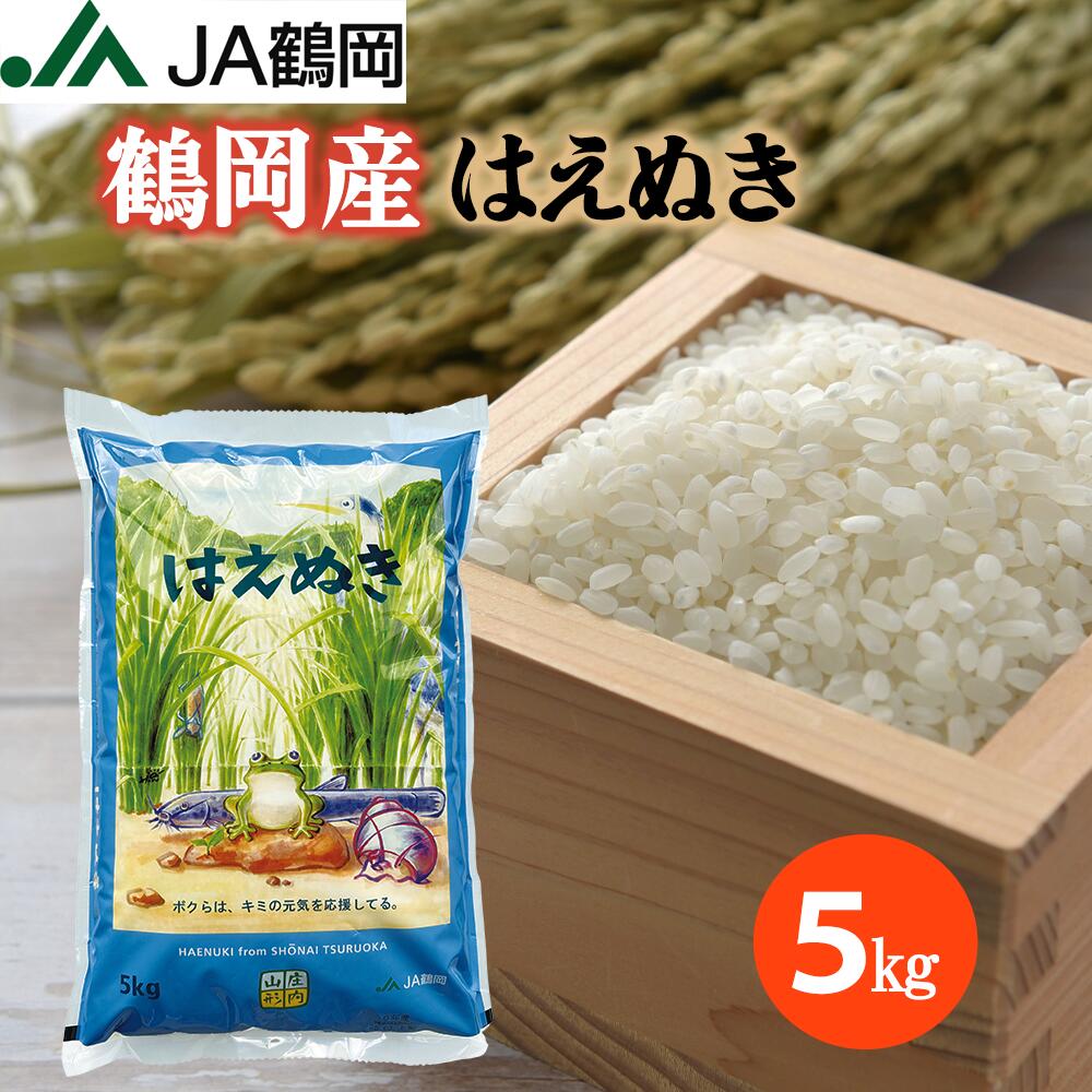楽天市場】お米 山形県産 はえぬき 5kg 精米 御中元 御歳暮