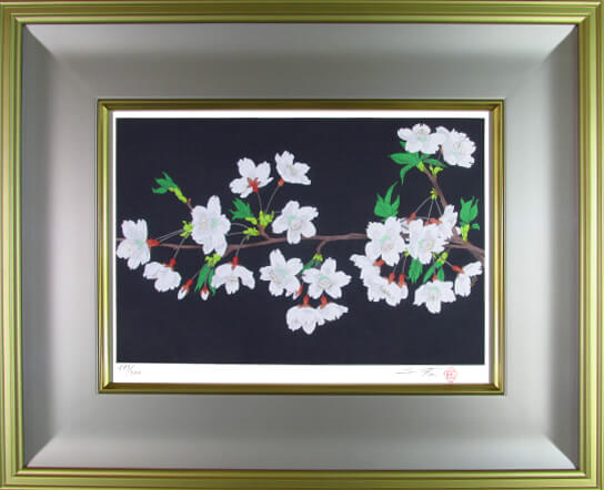 絵画 額付き 中島千波 M10 【 桜花 】手描き 肉筆