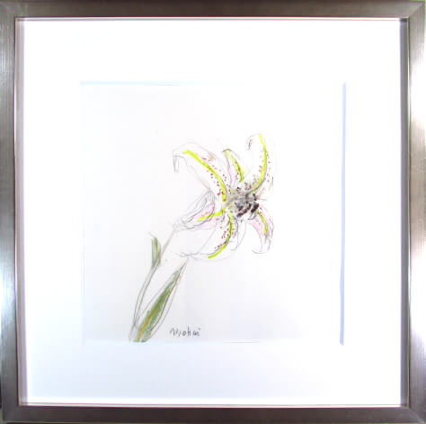 楽天市場】高間惣七 緋インコ 油彩3号 : ギャラリーダッドアート