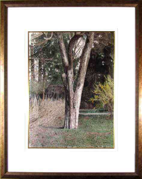 楽天市場】藤井勉 少女 油彩10号 1988年 : ギャラリーダッドアート