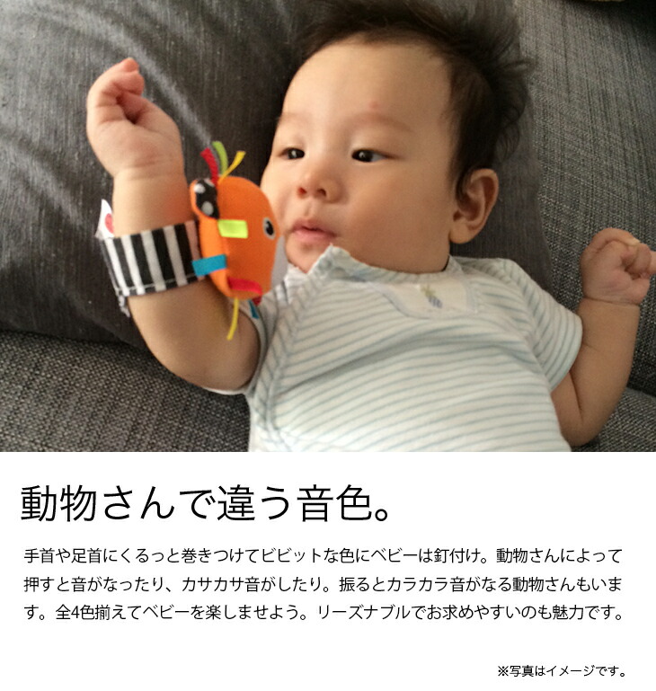楽天市場 赤ちゃん おもちゃ ガラガラ ラトル リストバンド サッシー カラフルチャームバンド 1個 Sassy おもちゃ ラトル 腕 ベビー 男の子 女の子 プレゼント 布 手首 0歳 新生児 1ヶ月 2ヶ月 3ヶ月 4ヶ月 5ヶ月 6ヶ月 7ヶ月 8ヶ月 人気 マット 出産祝 クリスマス