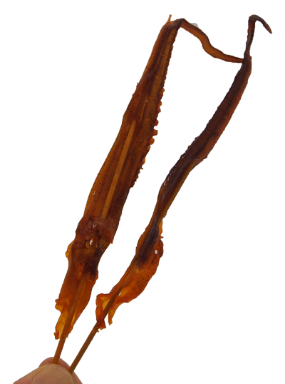 楽天市場 懐かしのポット駄菓子 紋次郎いか 80本入 駄菓子 駄菓子ワールド