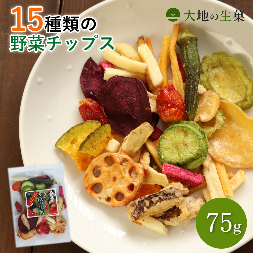 【お買い物マラソン限定全商品ポイント2倍〜】10種類の野菜チップス 65g 野菜スナック お菓子 送料無料 ポッキリ 500円 ギフト 贈り物 スナック菓子 子供 おやつ 詰め合わせ 酒の肴 おつまみ 駄菓子 おかし 珍味 手土産 プチギフト