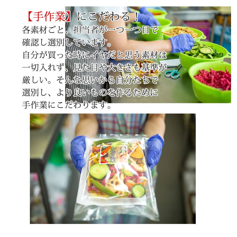 市場 ※15種類の野菜チップス 送料無料 贈り物 600g ギフト お菓子 賞味期限8月14日 野菜スナック お中元