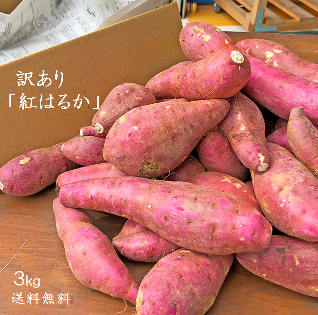 【楽天市場】【送料無料】訳ありさつまいも3kg 熊本県産 紅はるか お買い得 数に限りがございます！！ べにはるか：笑福商店