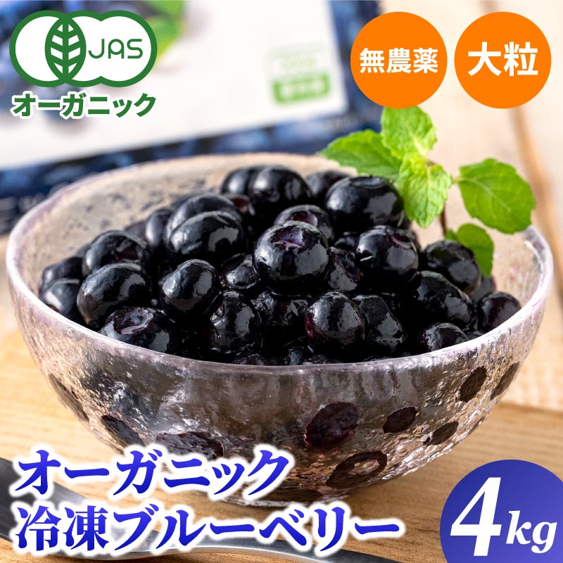 楽天市場】オーガニック 冷凍 ブルーベリー 3kg（200g×15パック） 無農薬 有機JAS認証 大容量 お徳用 業務用 メガ盛り 大粒 デューク  フルーツ 果物 ポリフェノール 送料無料 : いいものだけを 大五うなぎ工房