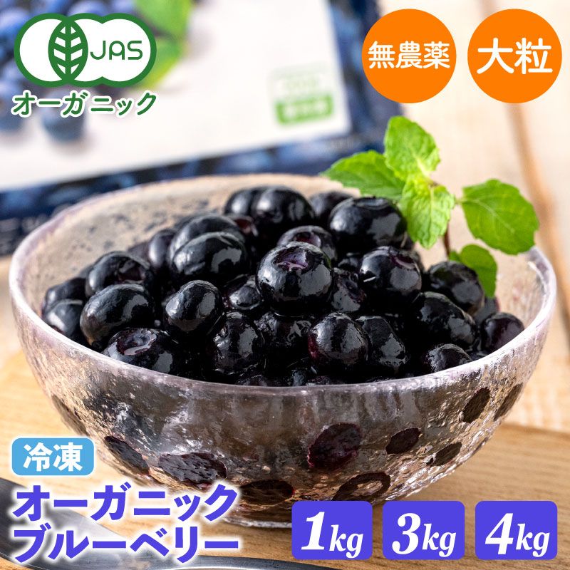 えれまま冷凍中粒ブルーベリー3kg えれまま様専用冷凍中粒ブルーベリー3kg 【公式通販】