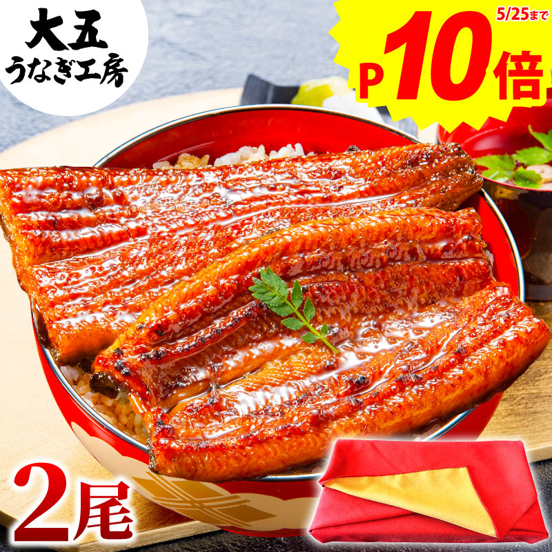＼楽天総合ランク1位／ 父の日 うなぎ 国産 長蒲焼2尾 ギフト 鰻 ウナギ 蒲焼 蒲焼き 誕生日 プレゼント 内祝 お祝い 出産内祝 結婚内祝 国内産 60代 70代 80代 食べ物 unagi グルメ お取り寄せ 食品 人気 早割