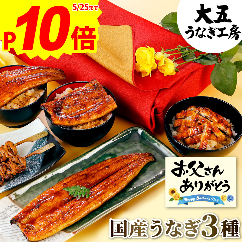 ＼早得ポイント10倍 5/25まで／ 父の日 うなぎ 国産 蒲焼き 3種セット 長蒲焼(大)1尾＆カット蒲焼2枚＆きざみうなぎ1パック 焼き肝串プレゼント 国産 蒲焼 内祝 御礼 御祝 お返し ギフト 誕生日プレゼント お祝い 結婚内祝い 熨斗 のし 風呂敷 グルメ 鰻 ウナギ 自社製造