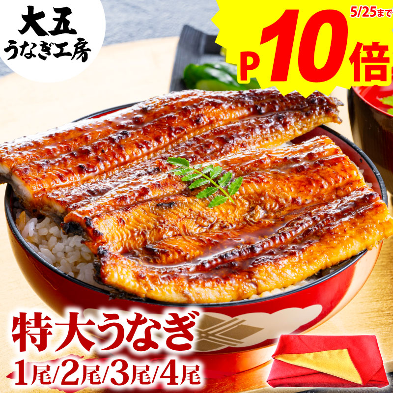 父の日 国産 うなぎ 長蒲焼き（特大） 2尾 3尾 4尾 誕生日 プレゼント 御礼 内祝い 御祝 お返し 寸志 ギフト 食べ物 お取り寄せ グルメ ウナギ 鰻 蒲焼き 蒲焼 土用の丑の日 土用丑 土用 丑の日 真空パック 自社製造 送料無料