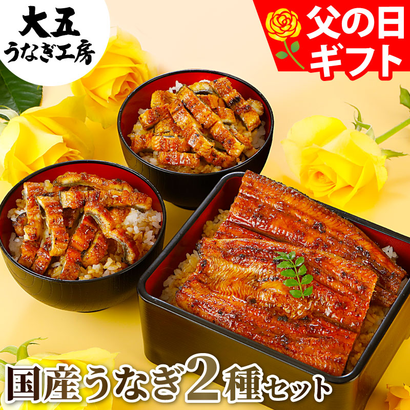 Amazon.co.jp: 大五うなぎ工房 国産うなぎ 長蒲焼 うなぎ紅白2尾