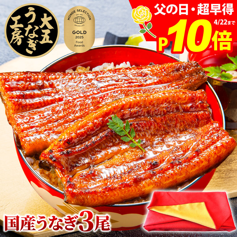 ポイント10倍！ うなぎ 国産 長蒲焼3尾セット 父の日 早得 早割 ギフト 誕生日 プレゼント 鰻 ウナギ 蒲焼 蒲焼き うなぎ蒲焼 3人前 三人前 60代 70代 80代 お祝い 内祝い 出産内祝 結婚内祝 御礼 お返し 食べ物 国産 グルメ 真空パック 自社製造 6,704円