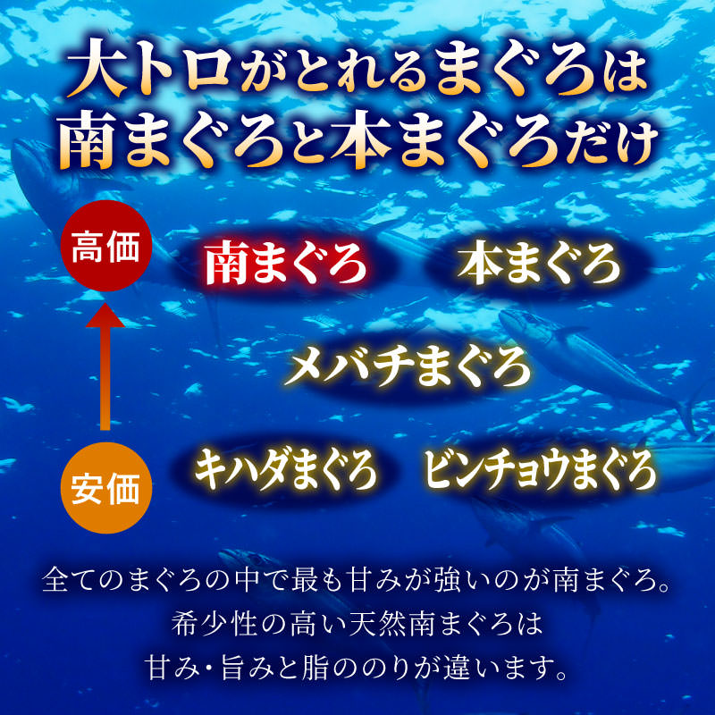 訳あり 天然南まぐろブロック1kgセット インドマグロ 背ブロック500g 腹ナカブロック500g 冷凍 ミナミマグロ