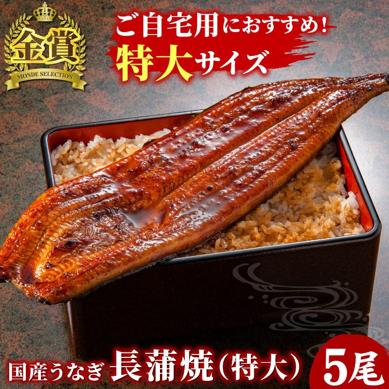 国産うなぎ長蒲焼 特大サイズ5尾セット 鰻 うなぎ 蒲焼き 蒲焼 国産 お取り寄せ グルメ 食べ物 自宅用 冷凍食品 免疫力アップ 送料無料